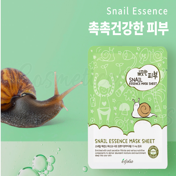 Snail  Essence Mask Sheet, Esfolio